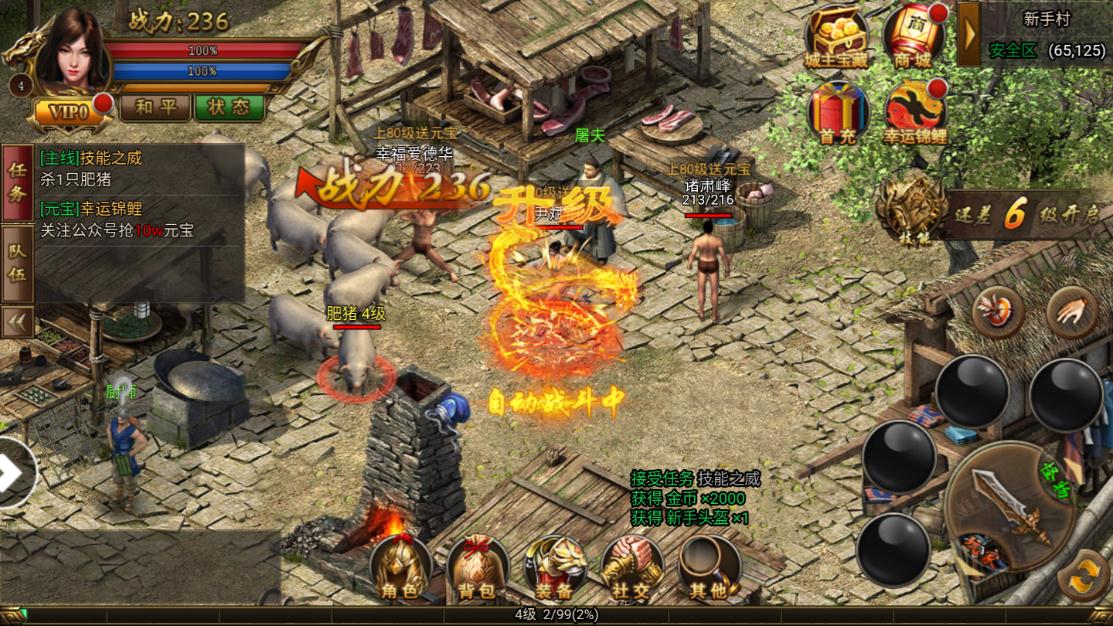 对新手成长路径的支撑作用：无缝衔接的启程助力