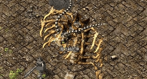 蜈蚣王登场：玩家为何不惜冒险前往？